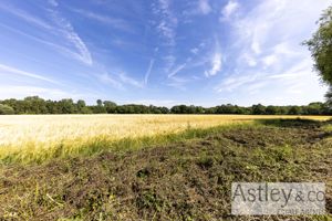 field view- click for photo gallery